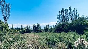 ыссык куль аренда: 15 соток, Айыл чарба үчүн, Сатып алуу-сатуу келишими, Белек келишими — 2