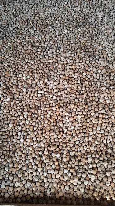 шкафтар ош: Продаю грецкие орехи. Размер орехов средний . После сортировки вышло — 5