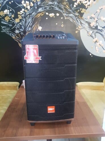 аренда колонок и микрофона: Аренда портативной колонки с микрофоном. ( Колонка на аккумуляторе) — 2