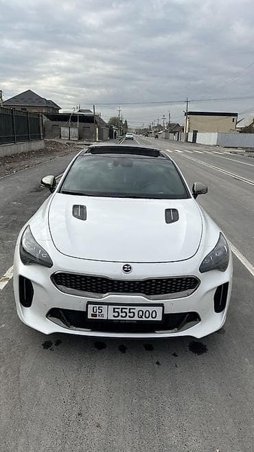 наклейки на авто: Kia Stinger: 2018 г., Бензин, Фастбек — 8