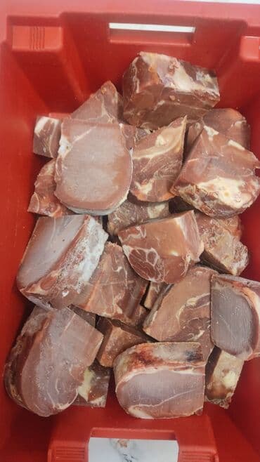 араба тачка: Птица — 2