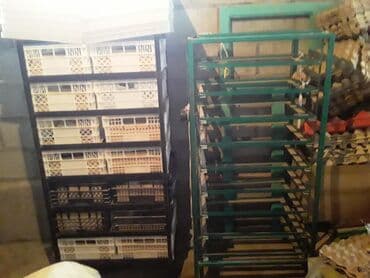 товары для животных: Товары и оборудование для с/х животных — 2