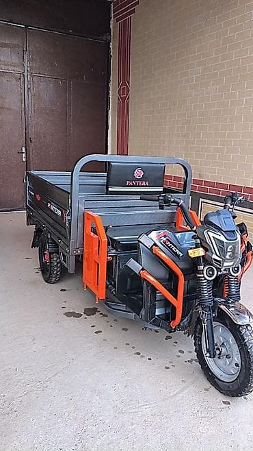 сктер: Жеңил жүк ташуучу унаа, Стандарт, 1ге чейин т, Колдонулган — 1