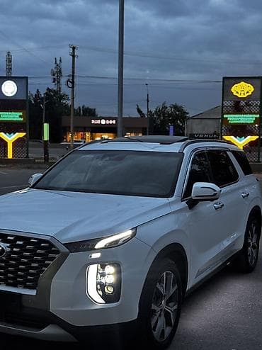 корейские минивэны: Hyundai Palisade: 2019 г., Кроссовер — 4