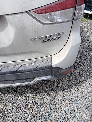 релинг: Subaru Forester: 2020 г., Автомат, Бензин, Кроссовер — 3