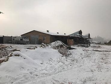 сарай для скота: Сдаю Кошару, от Шлагбаума 10км. возле объездной дороги. Участок 30 — 3