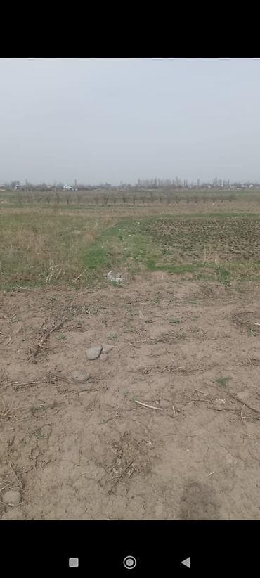 Недвижимость: 1 соток, Для сельского хозяйства, Тех паспорт — 5