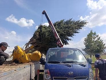 Услуги манипулятора (борта + кран) на базе малотоннажного грузовика