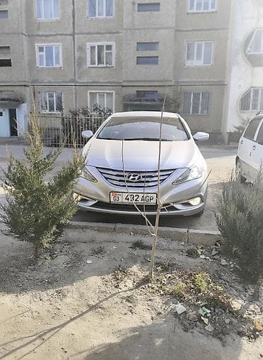 Hyundai Sonata: 2010 г., 2 л, Автомат, Газ, Седан
