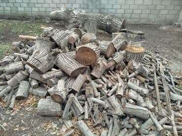 дрова тополь: Дрова Орех, Самовывоз — 7