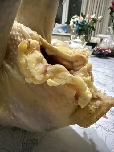 индюки кара балта: Индюки, выращенные на выгуле. - Поголовье: самцы и самки, разные — 6