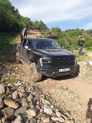 вампер соната: Ford F-150: 2023 г., 3.5 л, Автомат, Бензин, Пикап — 8