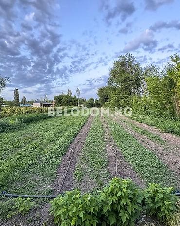 село садовое: 🏠Продается дом в с. Садовое Нижняя зона 🟡 3- жилых комнат + санузел — 2