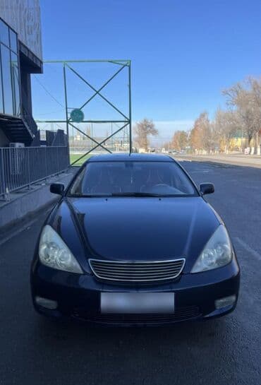 Lexus ES: 2002 г., 3 л, Автомат, Бензин, Седан