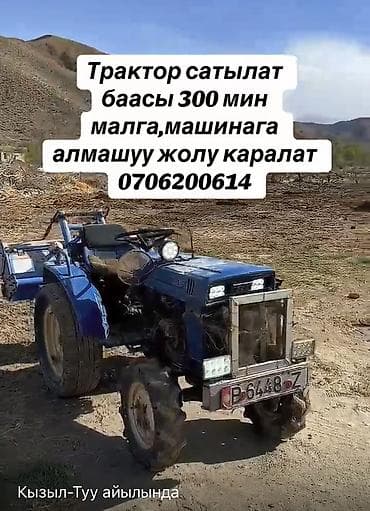 Тон району Кызыл туу айылында