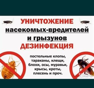 распылитель для дезинфекции помещений: Дезинфекциялоо, дезинсекциялоо, | Канталалар, Бүргөлөр, Таракандар, | Транспорт, Офистер, Батирлер — 1
