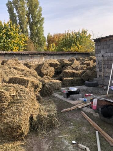 купить измельчитель травы и сена: Тики сена продаю — 1