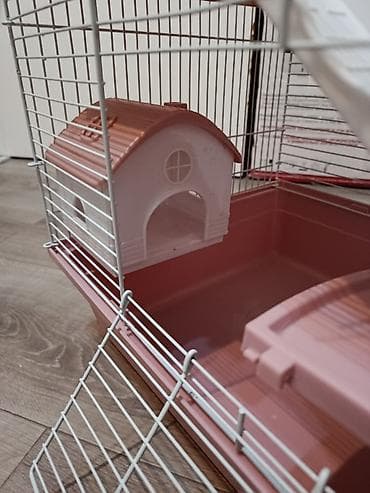 крысу: Продаем клетку почти новую, покупали для маленьких крысят. Удобная — 5