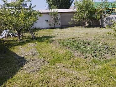 с участком: 5 соток, Для бизнеса, Красная книга — 1