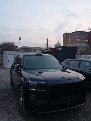 li 9 max: Zeekr 9X: 2 л | 2024 г. Бус — 2