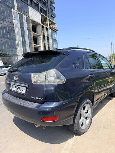 Lexus: Lexus RX: 2004 г., 3.3 л, Автомат, Газ, Кроссовер — 8