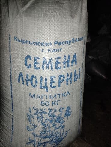 уголь в мешках шабыркуль: Семена кормовых растений: Люцерна, Платная доставка — 6