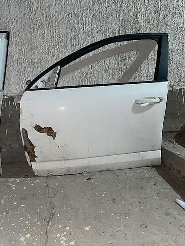 мер кабан: Дверь Передняя левая Skoda — 1