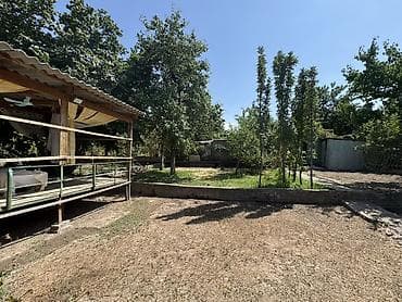 Продам дачу, собственник Сад плодородный Яблони, груши, королевский — 8