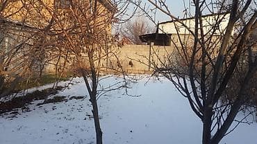 Куплю дом: Продаётся земельный участок с домом и дворовыми постройками — 2