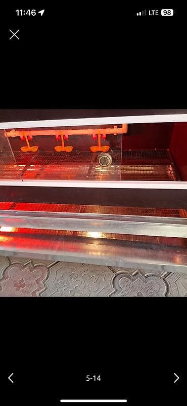 Башка жаныбарлар: Брудер для цыплят. Делаю брудера для цыплят полный комплект сделано из — 5