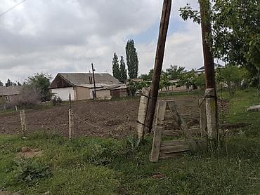 жумуш кафе: 10 соток, Бизнес үчүн — 1