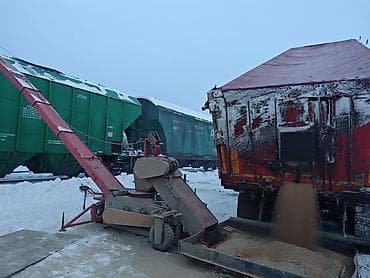 килограмм пшеницы цена: Привезу пшеницу 5класс, 4клас. ячмень, овёс из России ЖД вагонами — 2