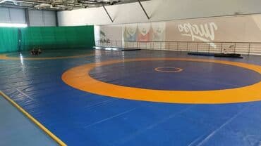 шины для велосипедов: Маты ! Мат! #Дзюдо маты #Маты борцовские UWW Олимпийский размер — 8