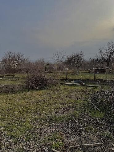 кен сай пост: 5 соток, Для строительства, Красная книга — 4