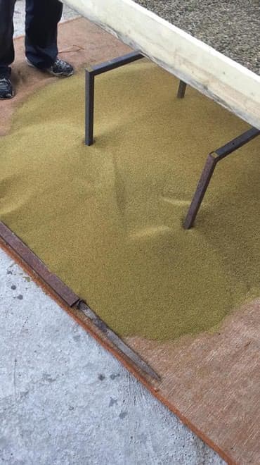 сейф бизнес маркетинг: Семена кормовых растений: Люцерна — 3