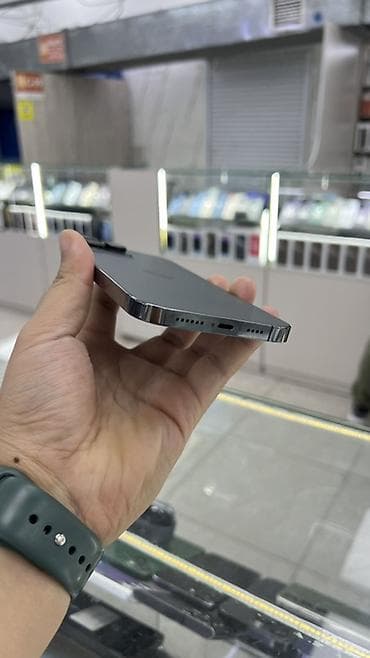 животные на продажу: IPhone 13 Pro Max, Б/у, 512 ГБ, Black Titanium, Защитное стекло, Чехол, 88 % — 2