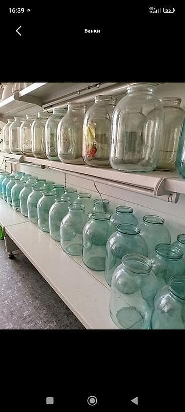 грибы оптом: Банки, Б/у, Самовывоз — 2