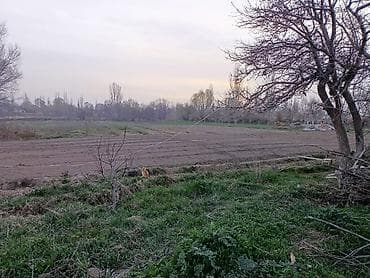 сдаю 1 комнату с подселением: 43 соток, Для сельского хозяйства — 4