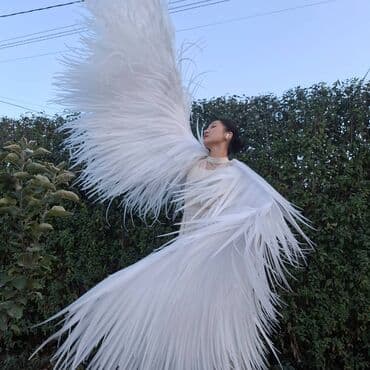 комнатные цветы купить бишкек: Карнавальные костюмы — 6