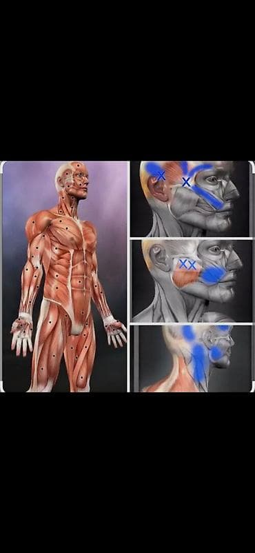 Массаж: Массаж | Консультация — 5