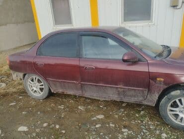 bmw e 28: Kia Spectra: 2006 г., Механика, Седан — 10