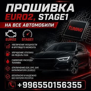 Тюнинг: Прошивка ЭБУ EURO2, Stage 1 для всех автомобилей - Чип‑тюнинг под — 1