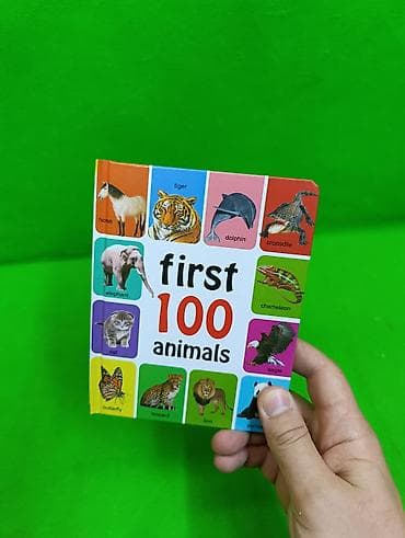 quick push pop it: Книга на английском языке, транспорт, цвета, овощи, фрукты, животные — 2