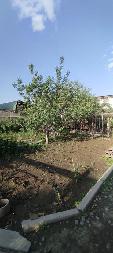 дом нижний аларча: Үй, 175 кв. м, 5 бөлмө, Кыймылсыз мүлк агенттиги, Косметикалык оңдоо — 17
