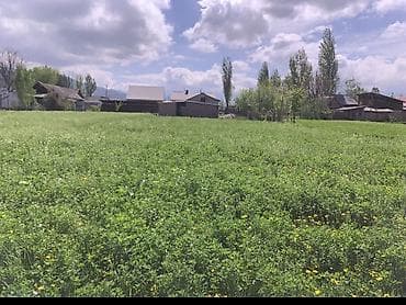 дом каркол: Продается жилой дом с кирпичным ограждением и откатными металлическими — 9