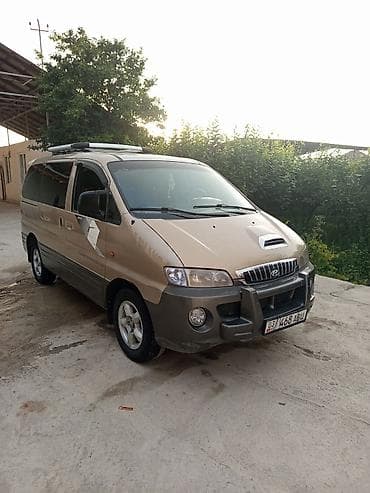 Hyundai Starex: 2002 г., 2.5 л, Механика, Дизель, Минивэн