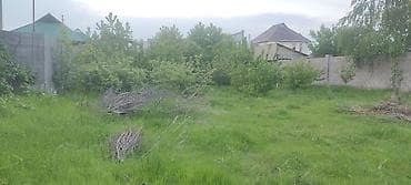 sky park: 6 соток, Для строительства, Красная книга — 1