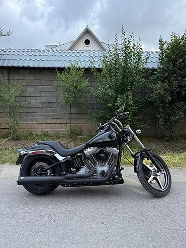 на мотоцикл: Harley-Davidson FXST Softail 2006 год, последняя версия на — 4