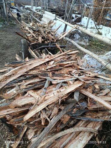 шкаф двустворчатый для одежды: Дрова — 4