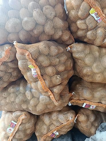 кымыз оптом: Картошка Пикассо, Дүңүнөн — 2